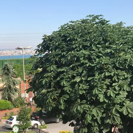 Qonaq & 3* Estambul